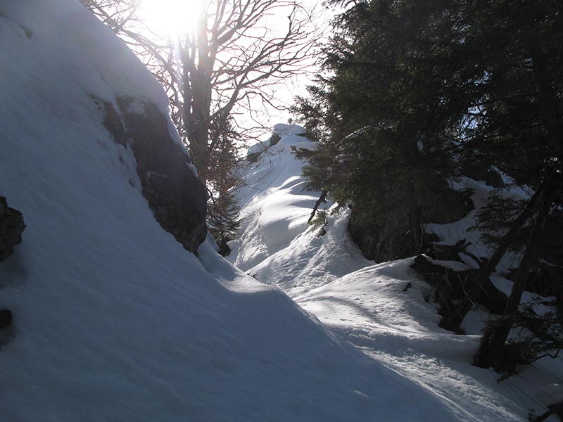 Hochsteinkogel